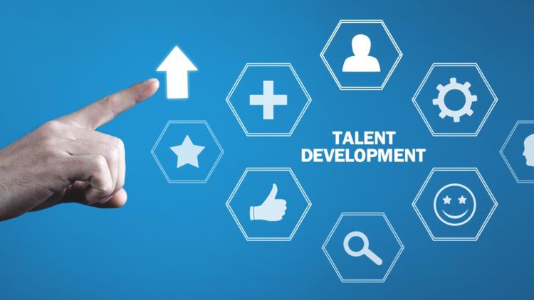 Talent Development Feedback